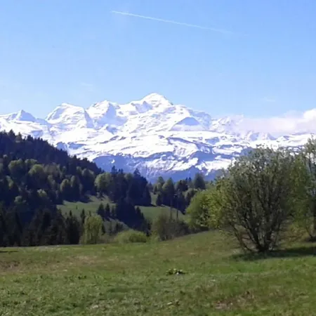 Praz De Lys Apartamento *